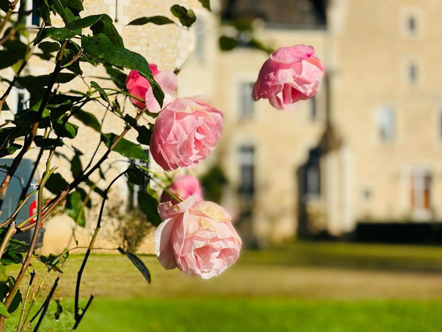 Chateau De La Tour En Brenne Rivarennes  Exterior foto