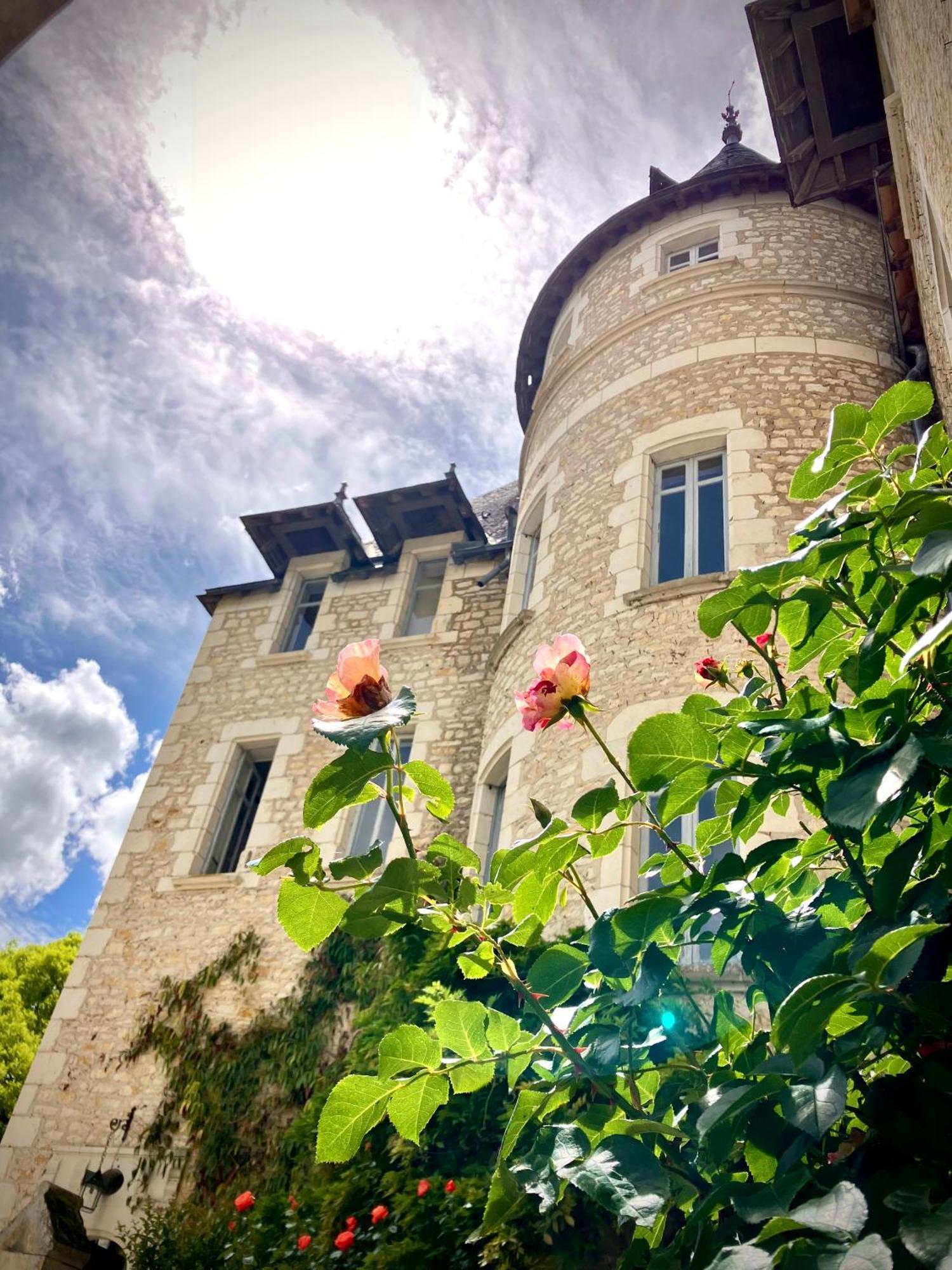 Chateau De La Tour En Brenne Rivarennes  Exterior foto