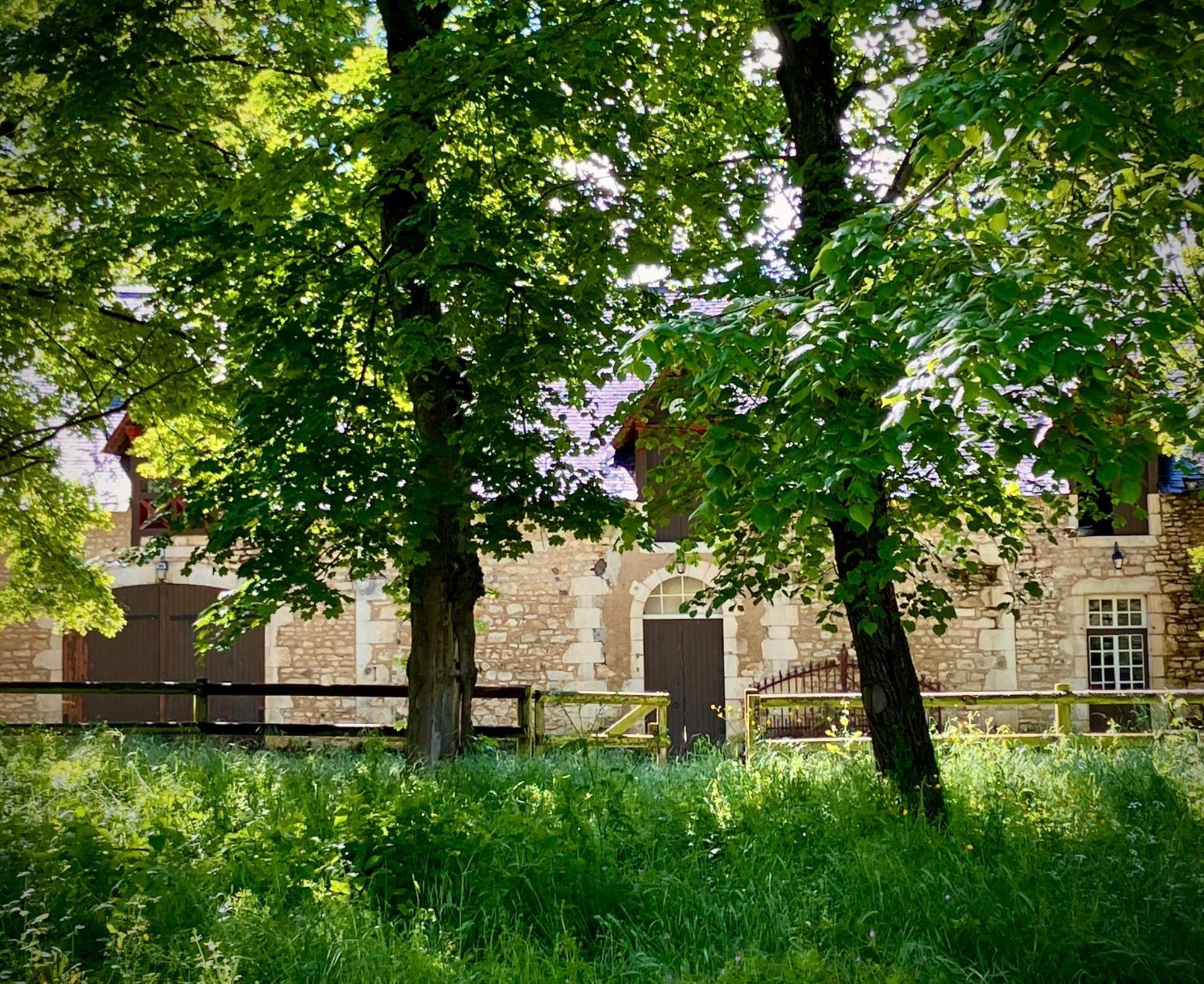 Chateau De La Tour En Brenne Rivarennes  Exterior foto